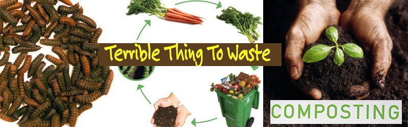 composting vegan worms