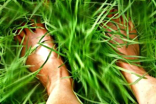 Grass-Feet-by-aussiegall
