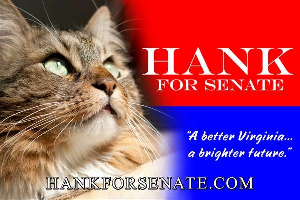 The Purrfect Candidate: A Rescue Cat Runs for Senate!