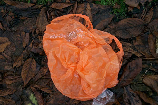 What’s So Bad About Plastic Bags?