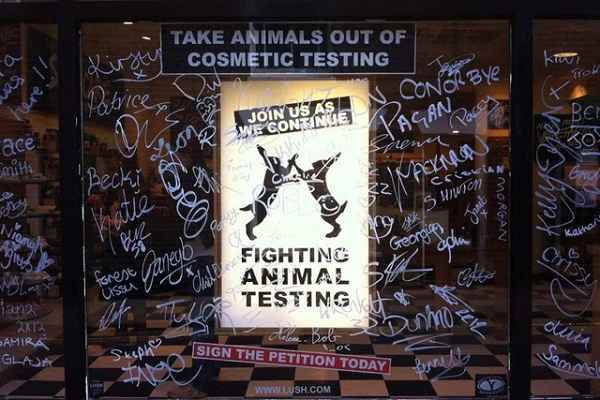 Lush Cosmetics Launches War on Animal Testing