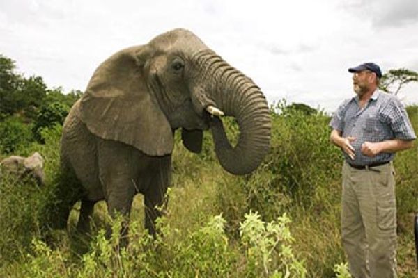 Wild Elephants Mourn Death of Elephant Whisperer