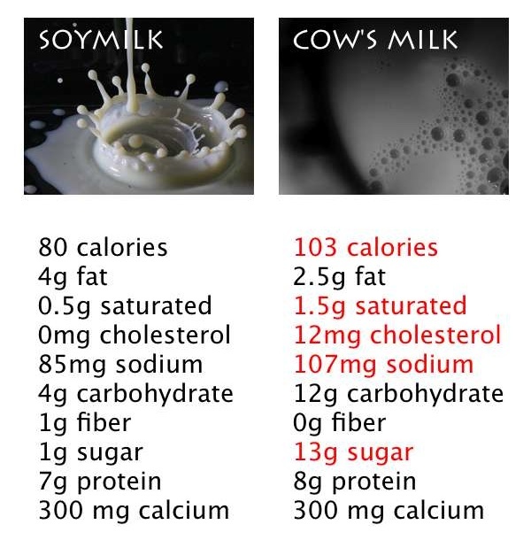 soy milk vs cows milk