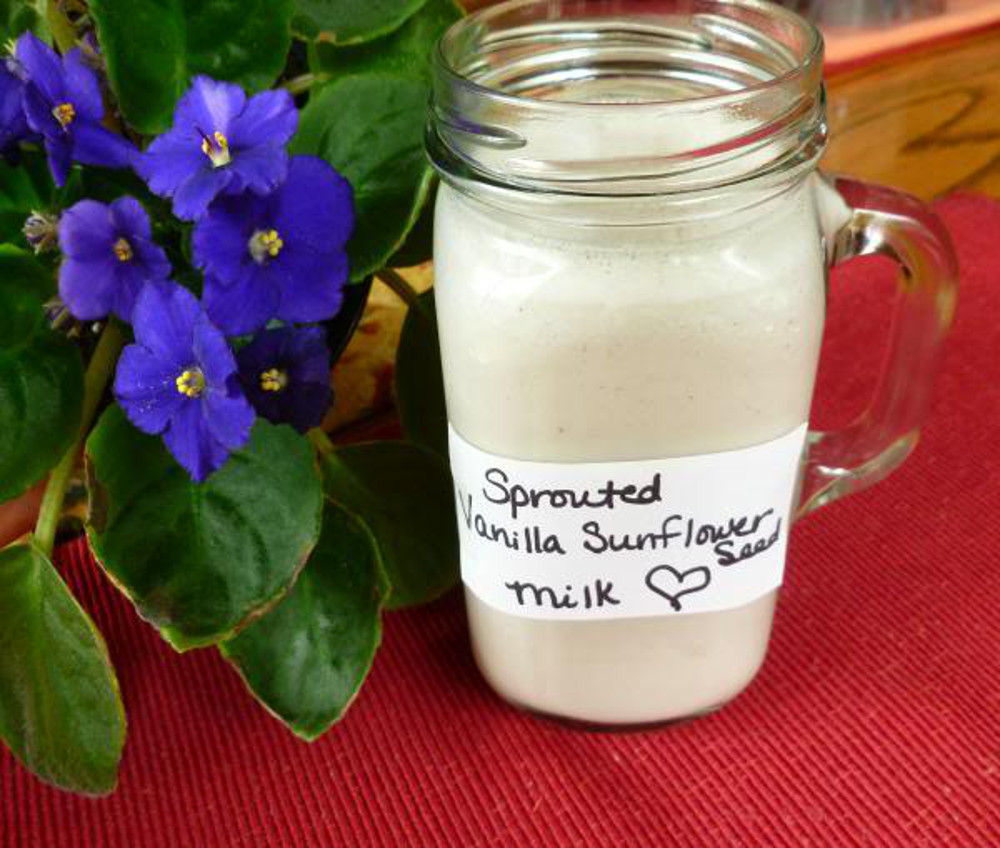 Sprouted Sunflower Seed Milk