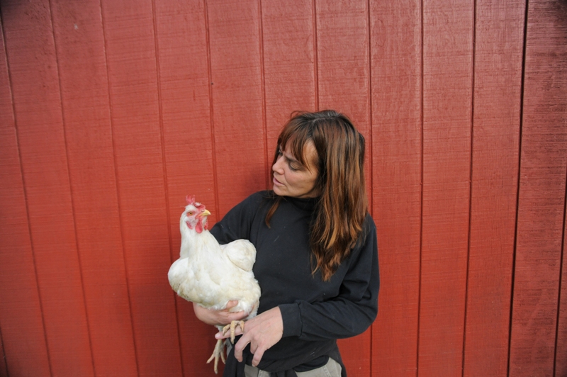 Susie and Lucille at Farm Sanctuary, USA, 2009