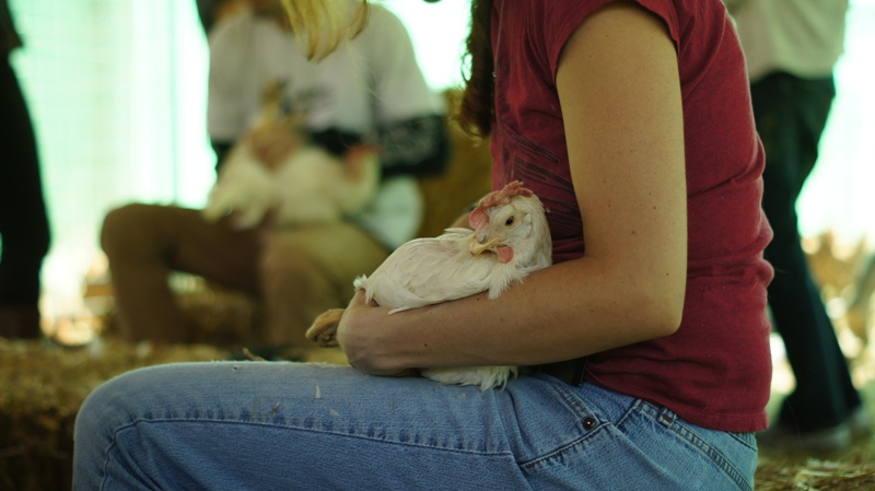 A Look Inside the Largest Farm Animal Rescue in California’s History (PHOTOS)