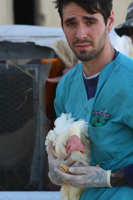 A Look Inside the Largest Farm Animal Rescue in California’s History (PHOTOS)
