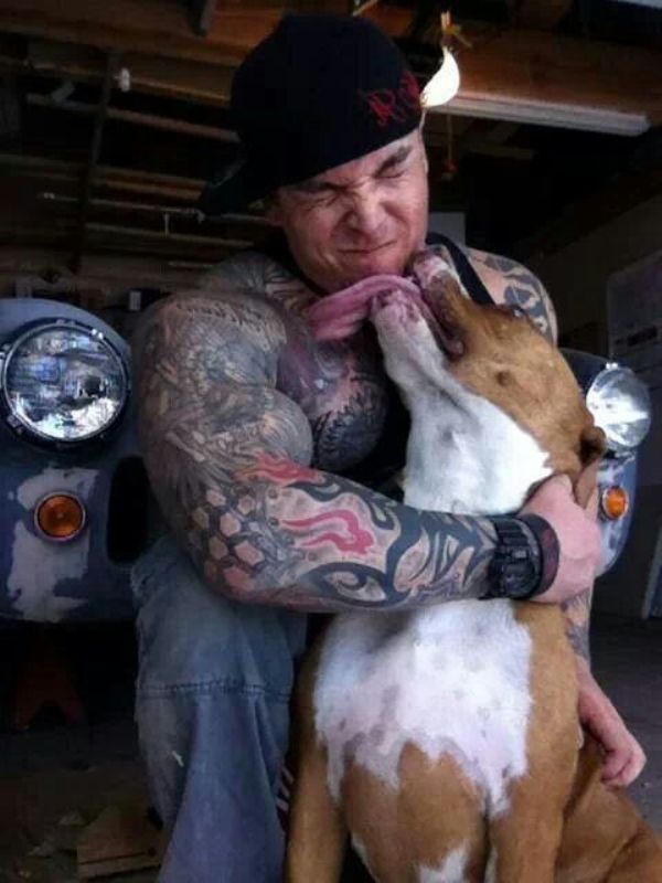 21 Adorable Photos that Show Pit Bulls Just Want to Give Love and Be Loved