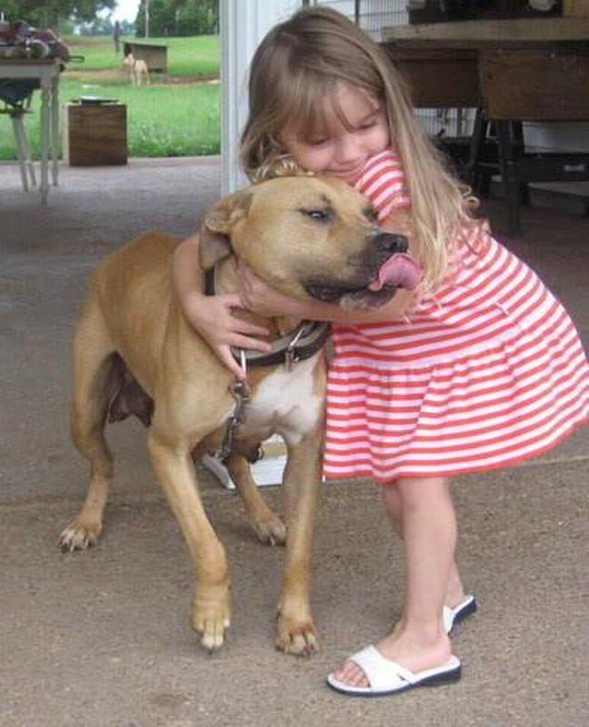 21 Adorable Photos that Show Pit Bulls Just Want to Give Love and Be Loved