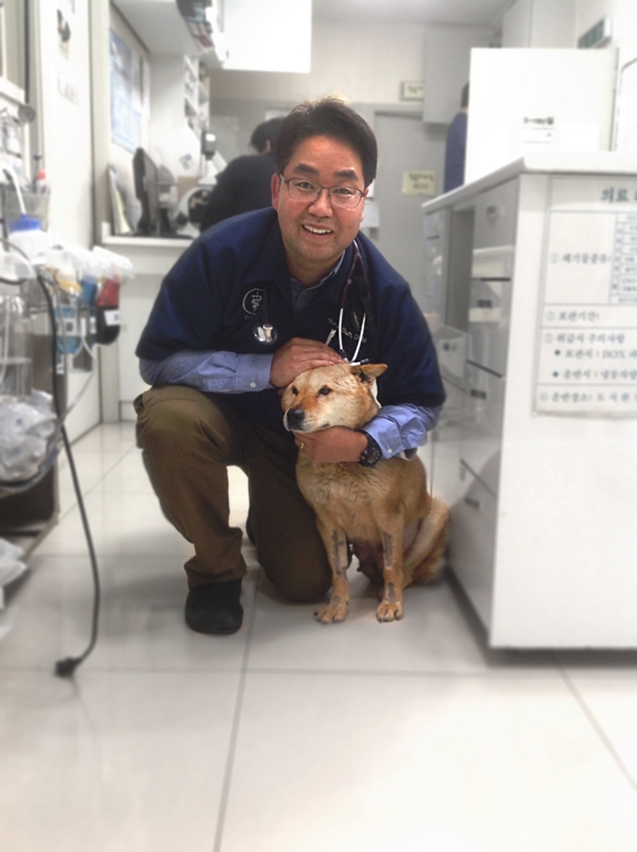 Sweet Stray Somang Rescued from South Korean Dog Meat Market