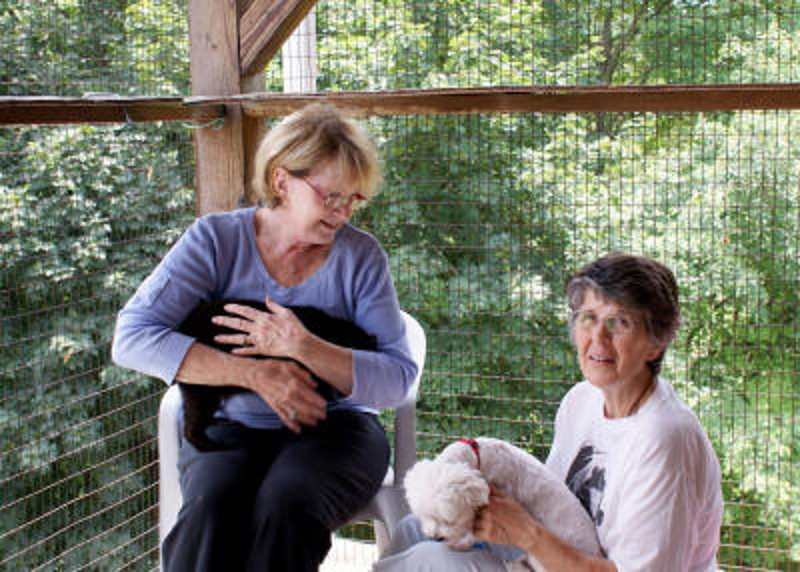 10 Amazing Women Behind Animal Shelters, Rescues and Sanctuaries