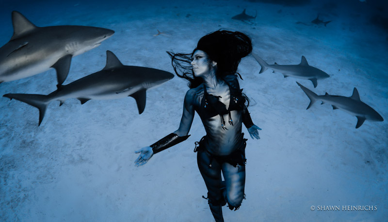 World's First Woman Dances with Tiger Sharks (VIDEO)