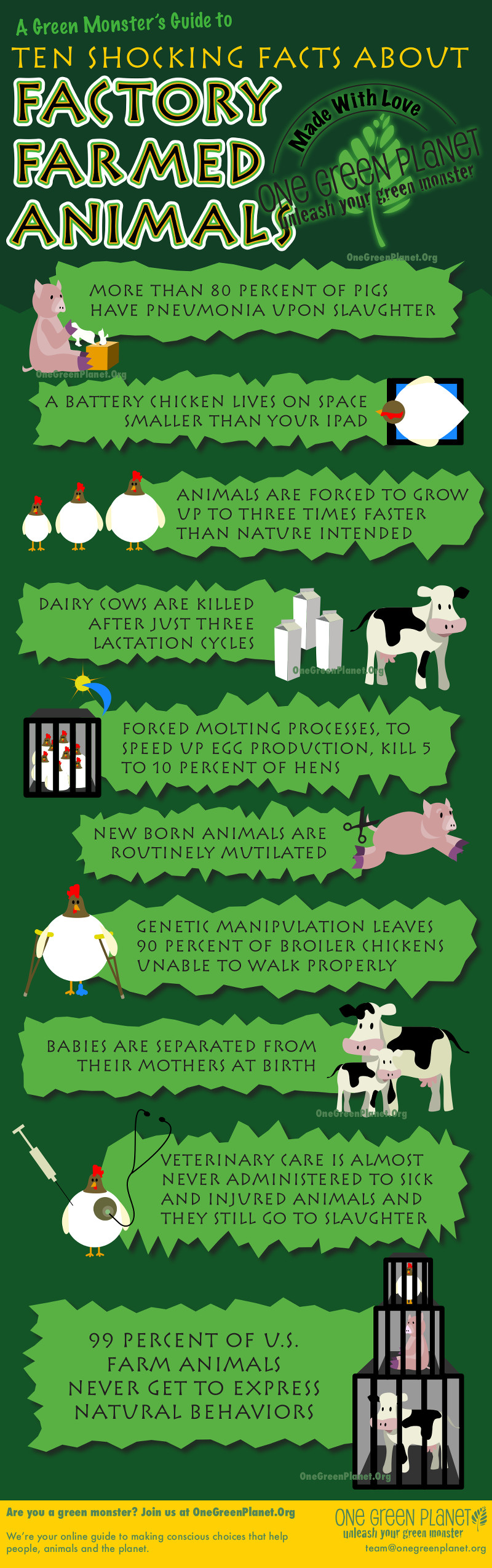 Shocking Facts About Factory Farmed Animals [INFOGRAPHIC]