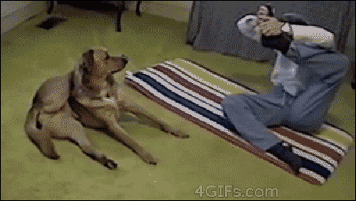 Dog Yoga 2