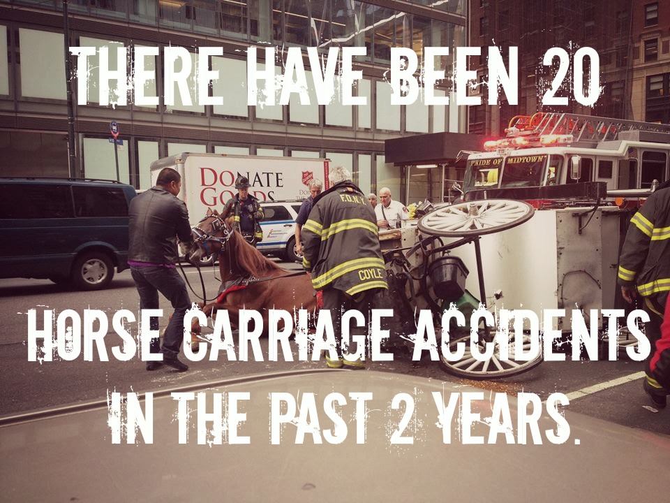 EXPOSED! NYC Carriage Horse 