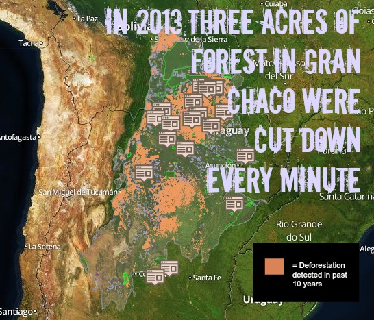 Cargill Cuts Palm Oil Suppliers Who Contribute to Deforestation, but Continues to Cause Deforestation Elsewhere