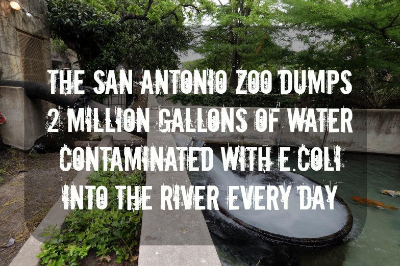 EXPOSED! The San Antonio Zoo: One of the Worst Zoos in America