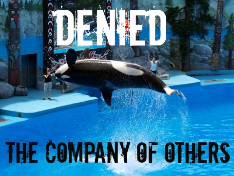 EXPOSED: Six Flags Discovery Kingdom: Cruelty Isn't Amusement!