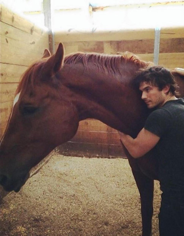 10 Amazing Ways Ian Sommerhalder is Changing the World for Animals!