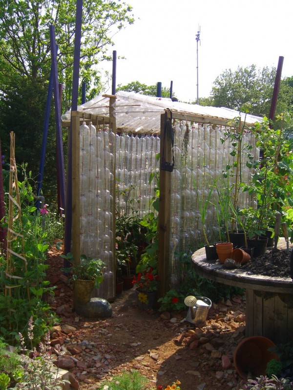 5 Types of Greenhouses You Can Build Out Of Recycled Materials