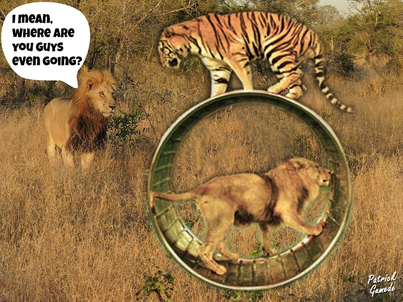 Step Right Up! See How Ridiculous Circus Tricks in the Wild Would Look!
