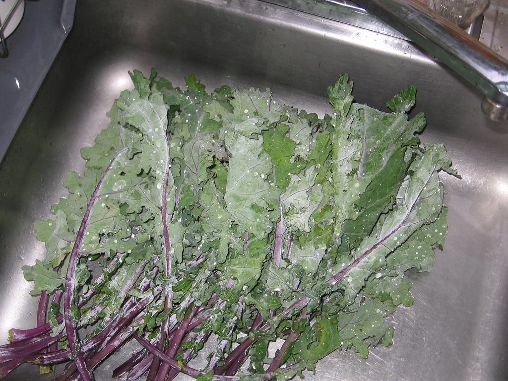 Popular Types of Kale and Their Health Benefits 