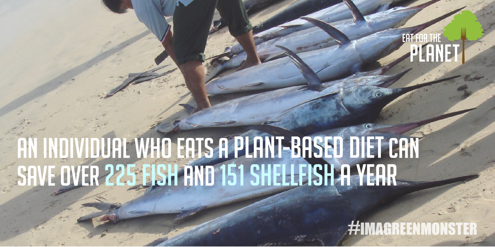If You Took Seafood Out of Your Diet, How Would it Really Help the Planet?