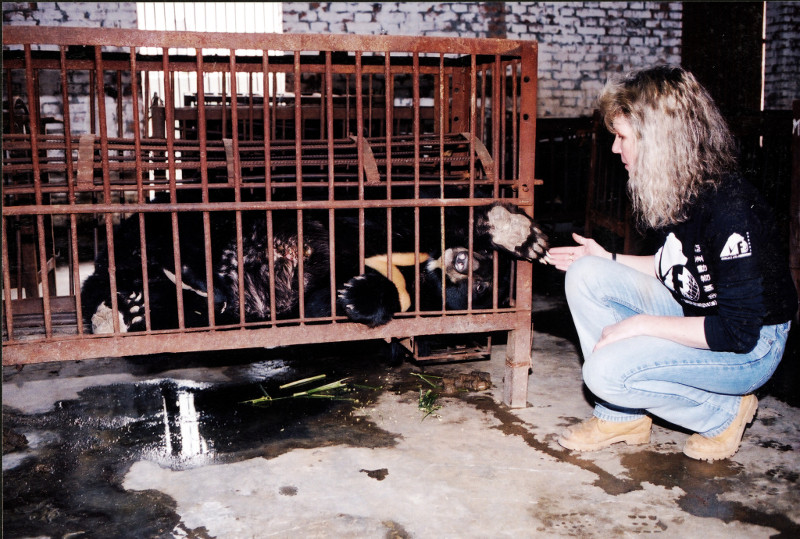 5 Things You Need to Know About Bear Bile Farming