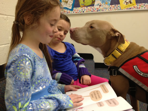 15 Photos of People with Therapy Dogs That are Beautiful and Inspiring