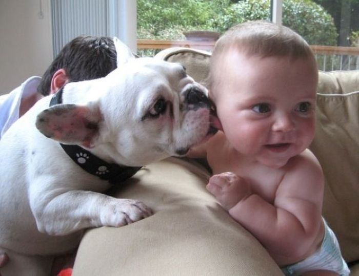 10 Photos of Dogs Giving Slurpiest Kisses