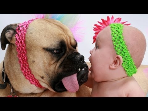 Dogs Who Love Their Human Babies Like Their Own
