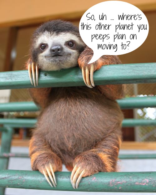 The Sloth's Have Spoken! Here's What They Have to Say About Habitat Destruction