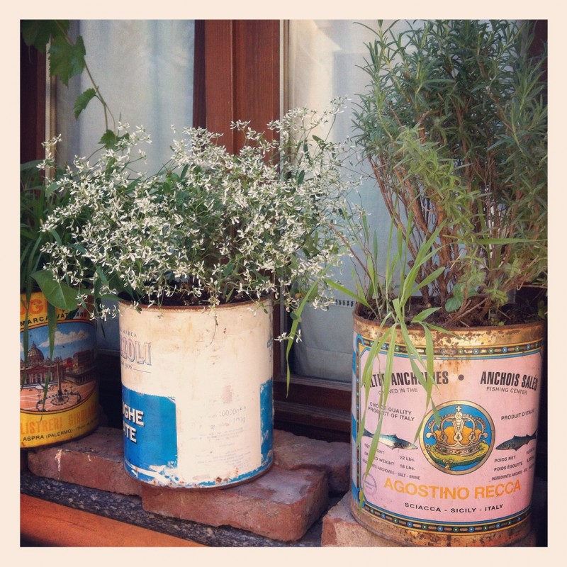 Cool Planters from Recycled Materials
