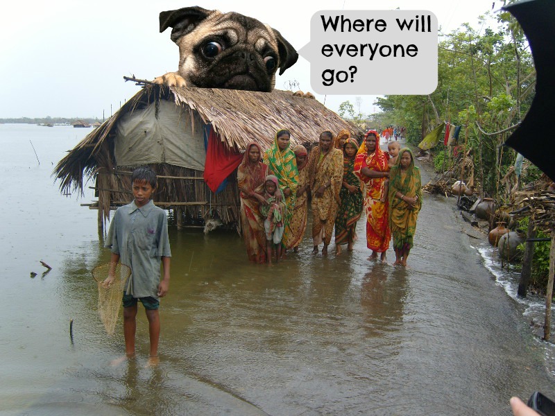 Activist Pug Visits The 11 Islands We Stand to Lose to Climate Change