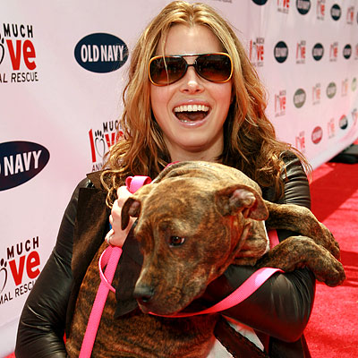 Star Pets, Companion Animals of Your Favorite Celebrities