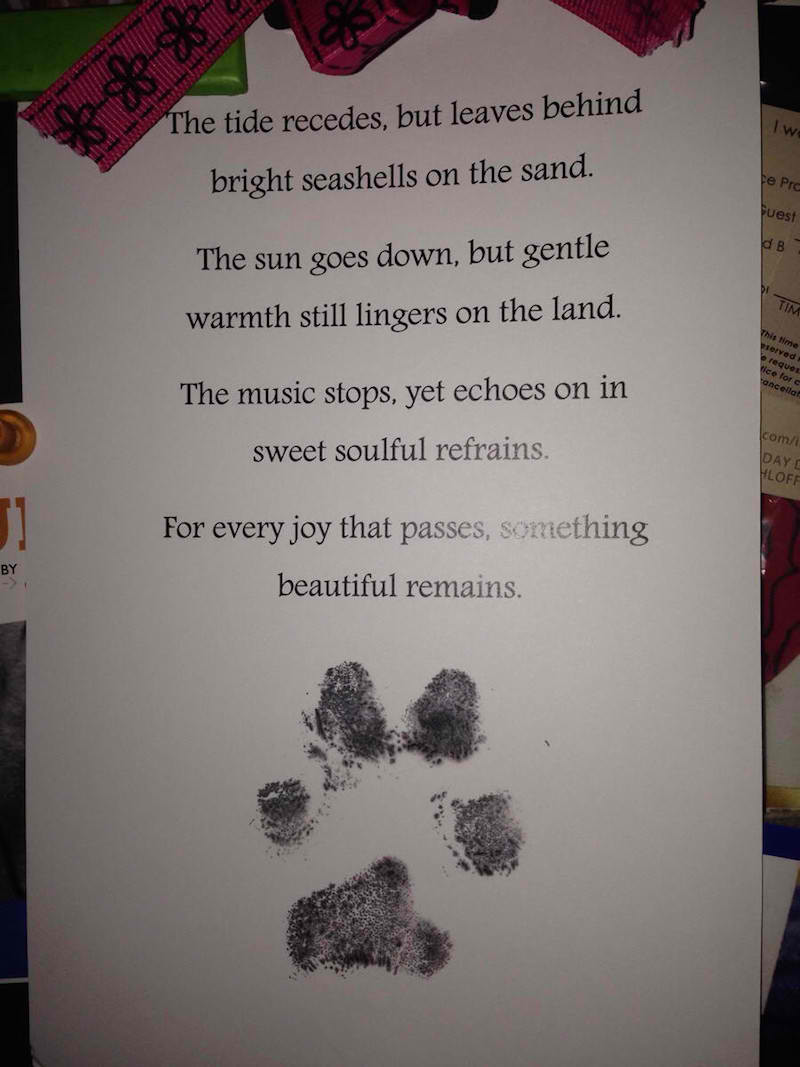 The Beautiful Note a Vet Sent One Family After Having to Put Down Their Dog Will Bring You to Tears