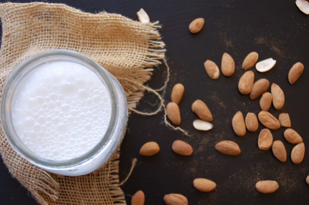 how-to-milk-an-almond-and-make-milk