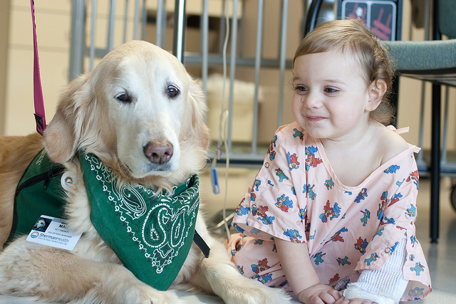15 Photos of People with Therapy Dogs That are Beautiful and Inspiring