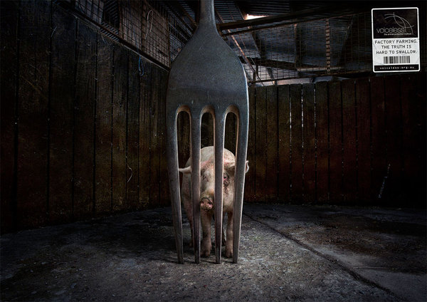 These Powerful Ads Featuring Farm Animals are Grim Reminders of Where our Food Comes From 