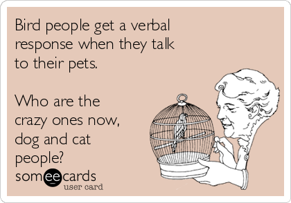 What Your Pet Says About Your Personality