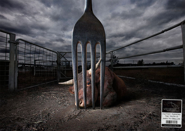 These Powerful Ads Featuring Farm Animals are Grim Reminders of Where our Food Comes From 