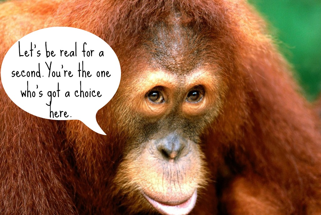 These Orangutans Just Can't Seem to Comprehend Why We Need Palm Oil