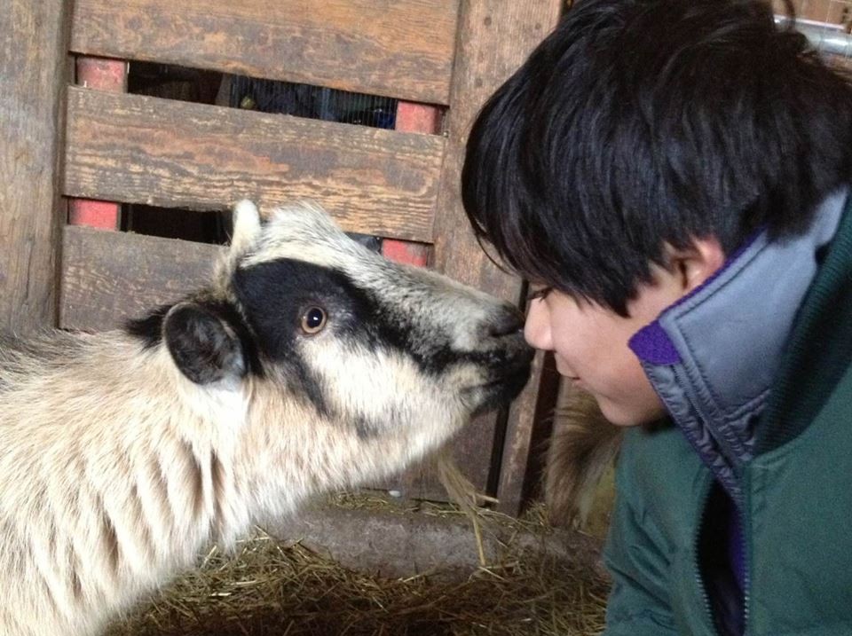 Farm Sanctuary Programs Teach Kids Compassion for All Animals