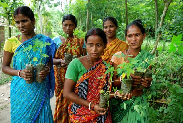 This Amazing Village in India Plants 111 Trees Everytime a Little Girl is Born