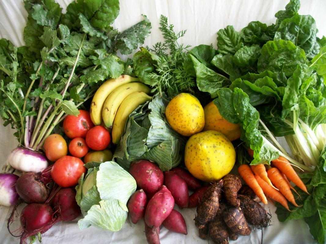 Fruits-and-Veggies-for-Cancer-1066x800 (1)