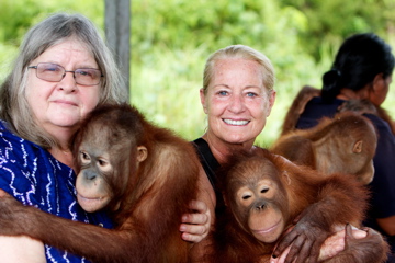Call for Conservation: What I Learned From Visiting Borneo's Orangutans