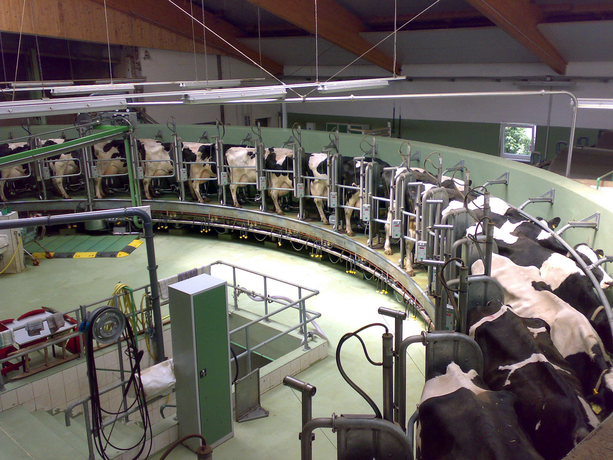 Dairy Industry
