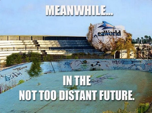 The 12 Worst Things to Happen to SeaWorld Since the Release of Blackfish