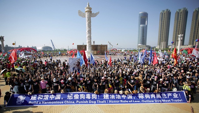PIC 1-China dog meat demo May 2015