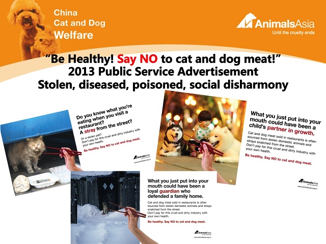 Pic 2 - China dog and cat ad compilation